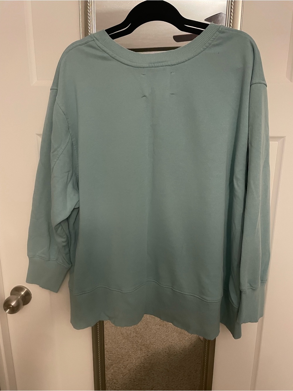 NWOT long sleeve crew neck top